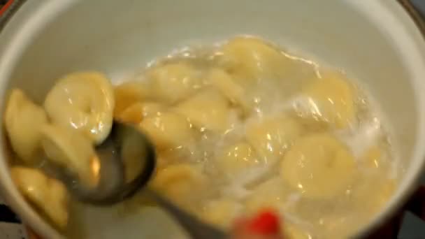 Klimp tillagning i kokande vatten. Kött Dumplings i en kastrull — Stockvideo