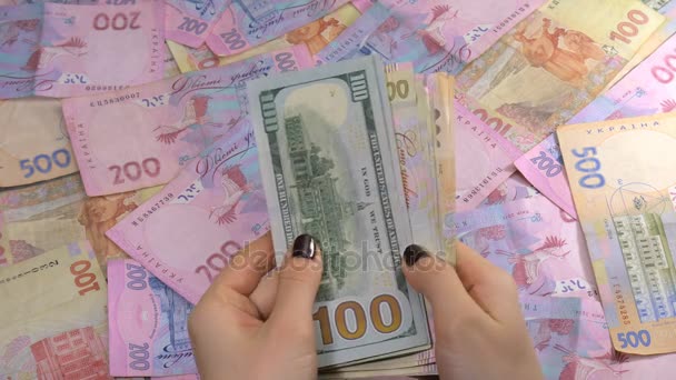 Businessmans は、カウントのマネーのドルおよびグリブナを手します。ウクライナのお金を数える. — ストック動画