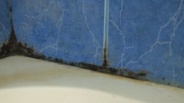 Küflü banyo sonunda duş kabin Temizleme.