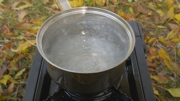 Water boils in a jug on a gas stove in the camping. Against the background of yellow leaf, autumn. — Stock Video