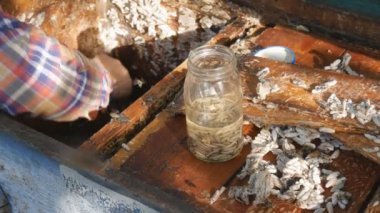 Arı yetiştiricisi larva mumu ısırığı bal peteği topluyor. Arı güvesi ilacı, geleneksel ilaç..