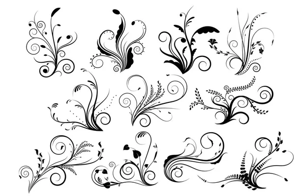 Conjunto de vector floral. — Vector de stock