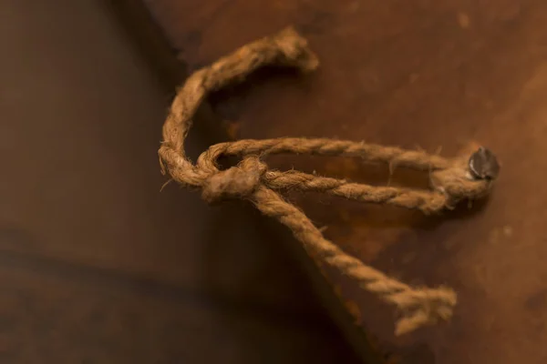 Brown wood texture, rope and nail. Abstract background