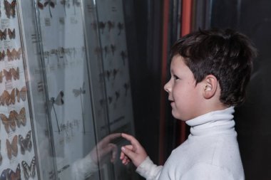 Moskova, Rusya - 26 Ekim 2015: Devlet biyolojik Müzesi.