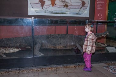 Moskova, Rusya - 26 Ekim 2015: Devlet biyolojik Müzesi.