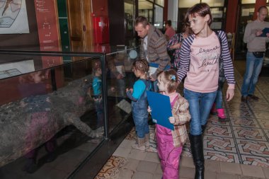 Moskova, Rusya - 26 Ekim 2015: Devlet biyolojik Müzesi.