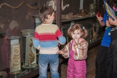 Moskova, Rusya - 26 Ekim 2015: Devlet biyolojik Müzesi.