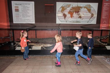 Moskova, Rusya - 26 Ekim 2015: Devlet biyolojik Müzesi.