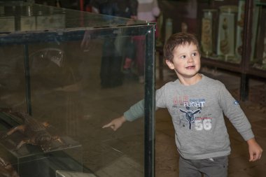 Moskova, Rusya - 26 Ekim 2015: Devlet biyolojik Müzesi.