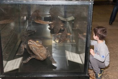 Moskova, Rusya - 26 Ekim 2015: Devlet biyolojik Müzesi.