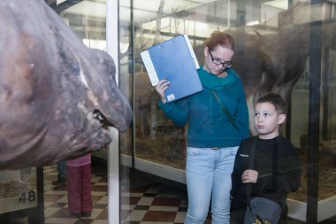 Moskova, Rusya - 26 Ekim 2015: Devlet biyolojik Müzesi.