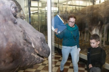 Moskova, Rusya - 26 Ekim 2015: Devlet biyolojik Müzesi.