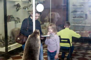 Moskova, Rusya - 26 Ekim 2015: Devlet biyolojik Müzesi.