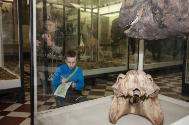 Moskova, Rusya - 26 Ekim 2015: Devlet biyolojik Müzesi.