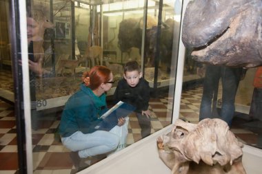 Moskova, Rusya - 26 Ekim 2015: Devlet biyolojik Müzesi.