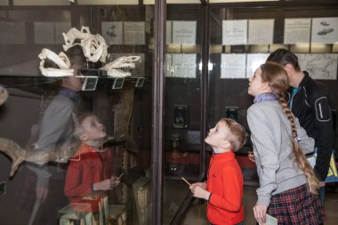 Moskova, Rusya - 26 Ekim 2015: Devlet biyolojik Müzesi.