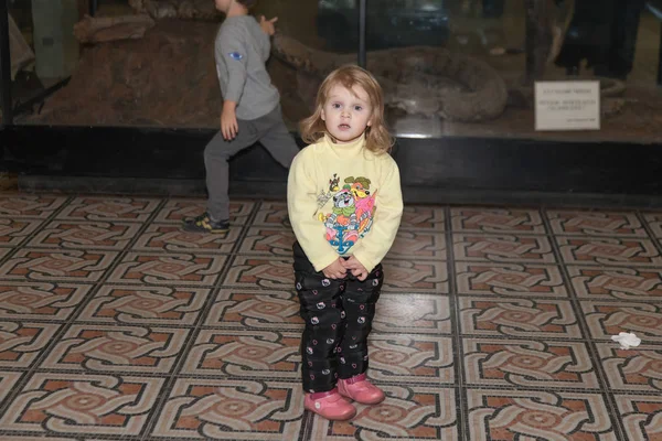 Moskova, Rusya - 26 Ekim 2015: Devlet biyolojik Müzesi.