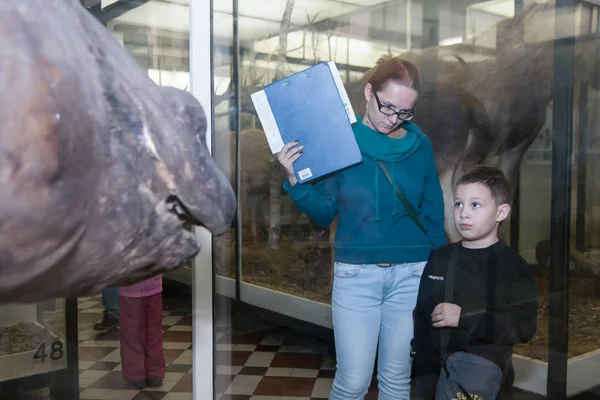 Moskova, Rusya - 26 Ekim 2015: Devlet biyolojik Müzesi.