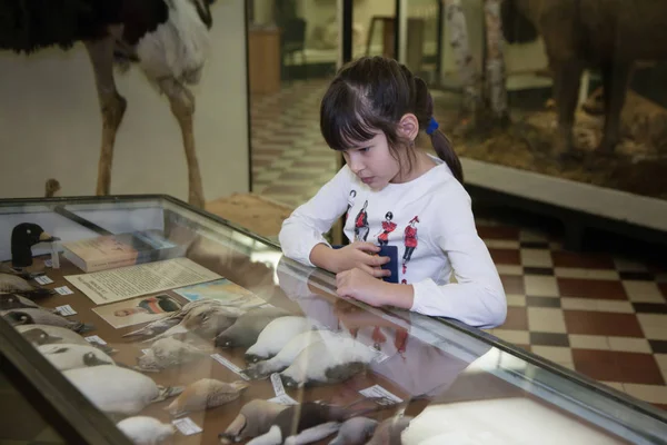 Moskwa Rosja Października 2015 Państwowe Muzeum Biologicznych — Zdjęcie stockowe