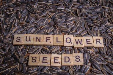 ayçiçeği tohumu görüntü