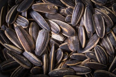 ayçiçeği tohumu görüntü