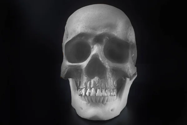 Crâne dans l'image de fond noir — Photo