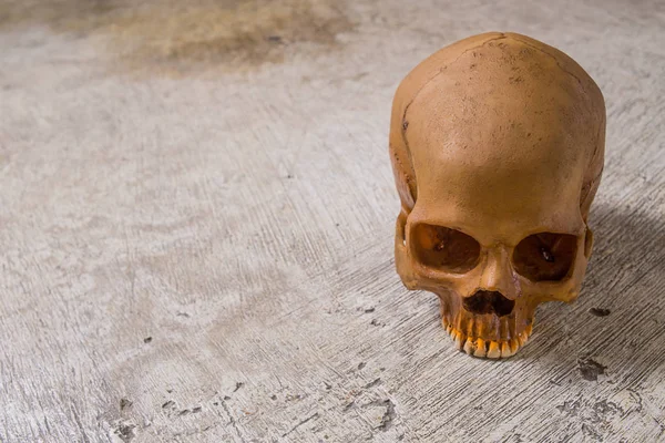 Skull on dirty floor image close up — Stock Photo, Image