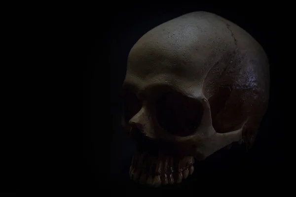 Karanlık adam için içinde kafatasının bir natürmort — Stok fotoğraf