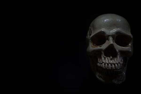 暗い背景があるのために頭蓋骨のある静物 — ストック写真
