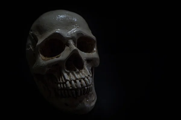A sötét háttér mintázata a koponya egy csendélet — Stock Fotó