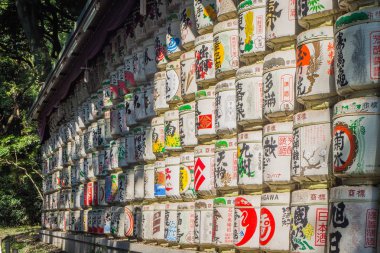 Meiji Tapınağı, Tokyo, Japonya - 27 Ekim 2017: Shib içinde yer alan
