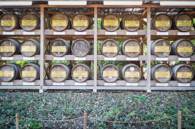 Meiji Shrine , Tokyo, Japan - OCTOBER 27 2017 :  located in Shib clipart