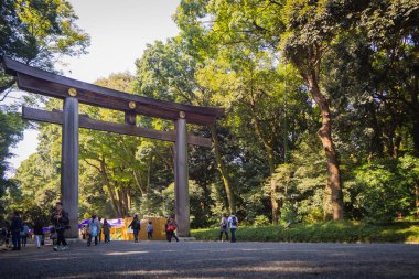 Meiji Tapınağı, Tokyo, Japonya - 27 Ekim 2017: Shib içinde yer alan