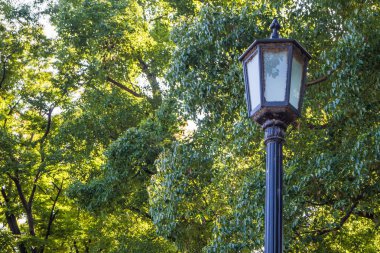 Tokyo İmparatorluk Sarayı, Tokyo İmparatorluk Sarayı ve Seimon işi