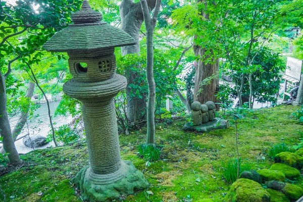 La linterna de piedra japonesa en el fondo de la imagen del bosque . —  Fotos de Stock