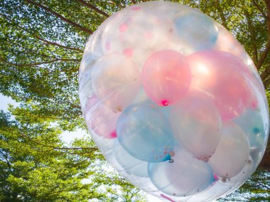 Univers mezunları başarı Tebrikler balonunda