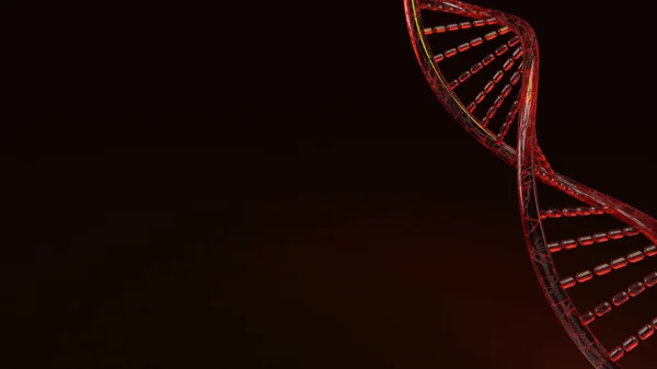 科学コンテンツの黒の背景に赤いDna 3Dレンダリング — ストック写真