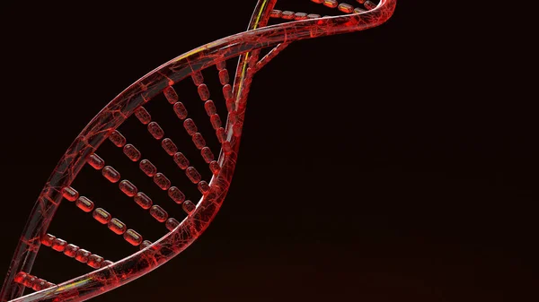 科学コンテンツの黒の背景に赤いDna 3Dレンダリング — ストック写真
