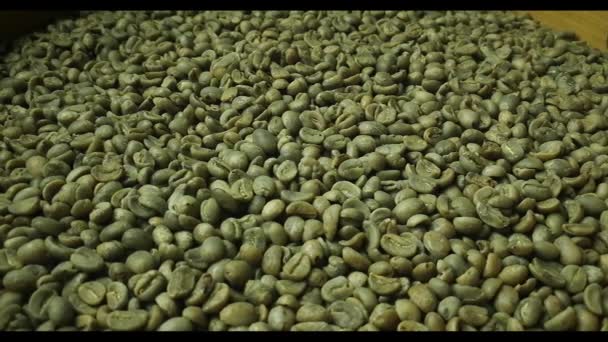 Зеленый Необжаренный Кофе Снимает Движение Камеры — стоковое видео