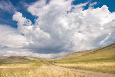 Güzel bir alana yol