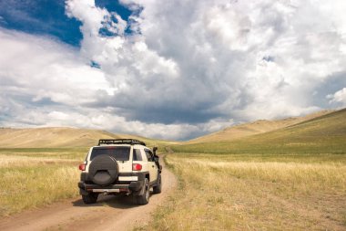Güzel bir alan araba sürmek