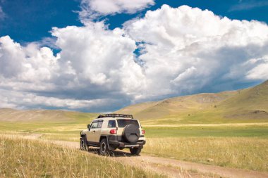 Güzel bir alan araba sürmek
