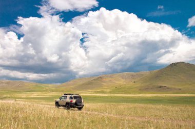 Güzel bir alan araba sürmek