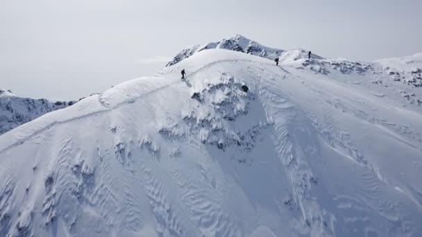登山者が登山空中飛行エピック山脈登山を成功に向けて美しいピーク冬の休暇探検アドベンチャーハイキング観光コンセプト. — ストック動画