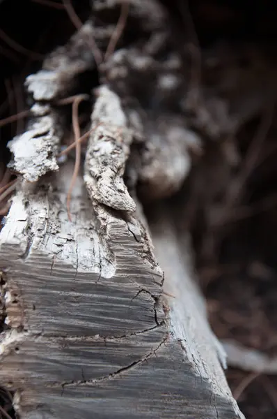 Textura de rocha da montanha — Fotografia de Stock