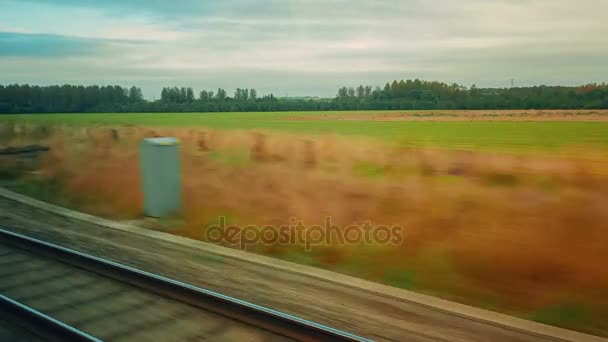 Vista para o passageiro de uma viagem de comboio através da paisagem rural do Reino Unido — Vídeo de Stock