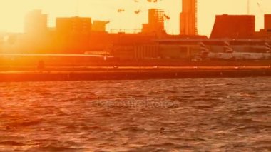 London City Havaalanı - kısa menzilli uçak günbatımı bir iniş dört turbofan motorları ile gösterilen portre vurdu