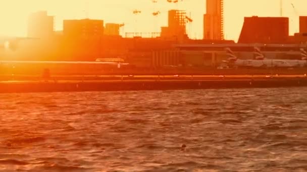 London-City repülőtér - Vértes lövés mutatja a naplemente leszállás egy rövid távú utasszállító repülőgép négy turbólégcsavaros motorok — Stock videók