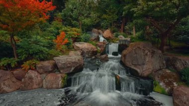 Cinemagraph tarzı görüntüleri ile akan güzel yeşil bir Japon bahçesi gösteren sırasında erken sonbahar su