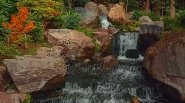Yeşil bir nefis bir Japon bahçesi ile erken sonbaharda bir şelale closeup çekim